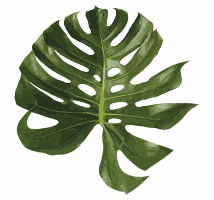 Flower vinyl rug with delicious monstera leaf - TenStickers