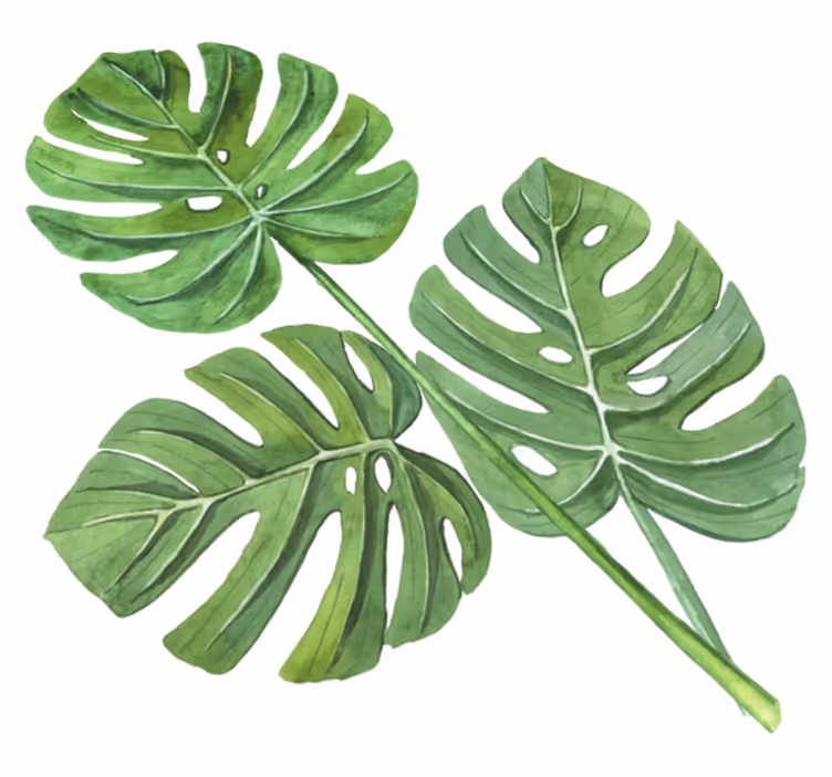Flower vinyl rug with monstera watercolor leaves - TenStickers