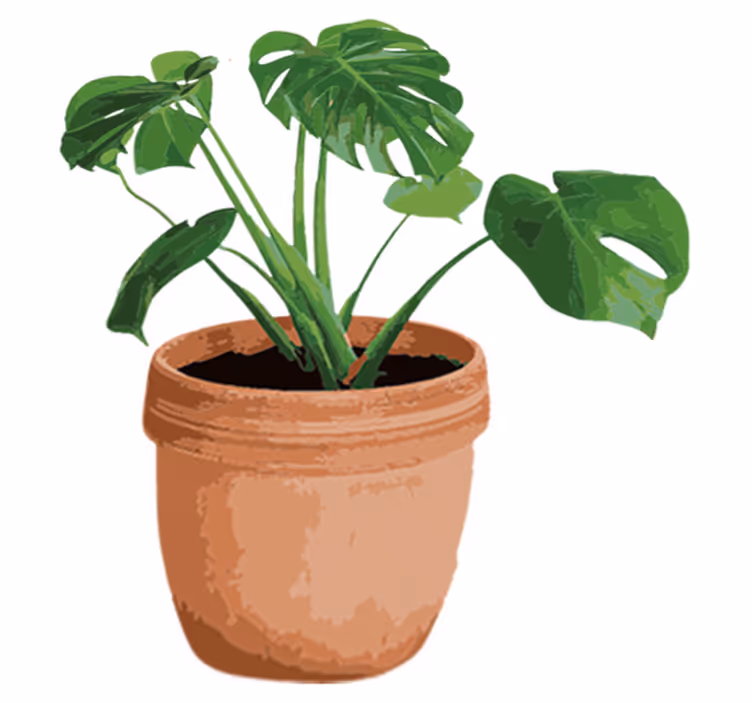 Flower vinyl rug simple monstera pot - TenStickers