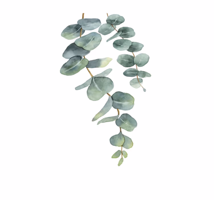 Flower vinyl rug eucalyptus twigs - TenStickers