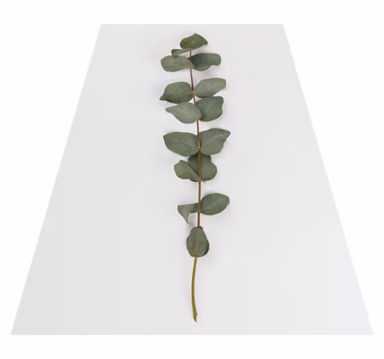 Flower vinyl rug eucalyptus leaves - TenStickers