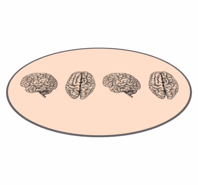 row of vintage brains vintage rug - TenStickers
