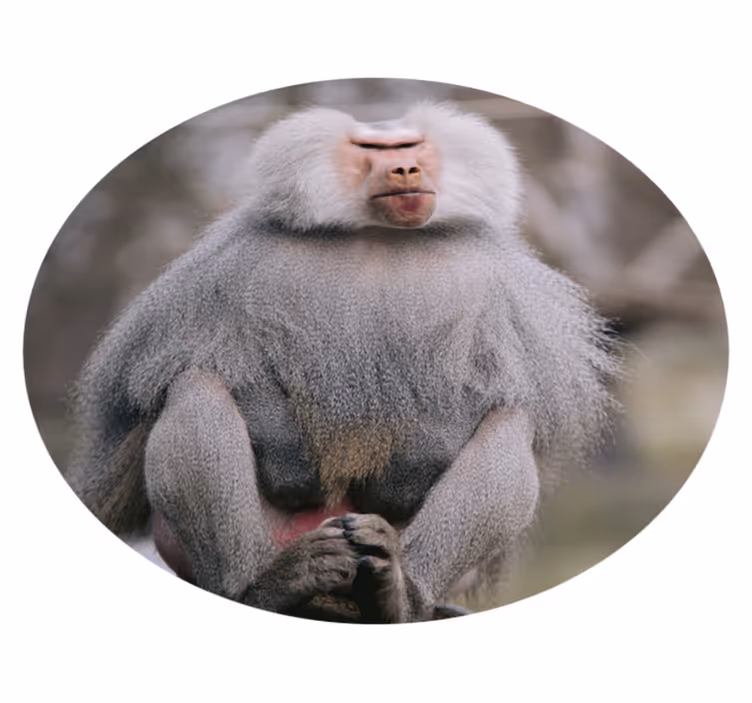 Animal cool monkey vinyl rug - TenStickers