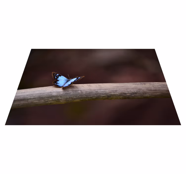 Animal blue butterfly animal rug - TenStickers