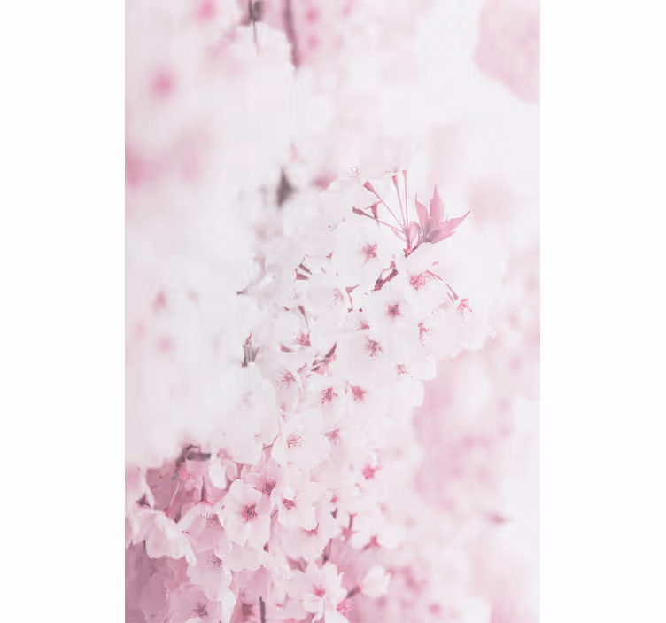 Flower wallpaper light pink floral design - TenStickers
