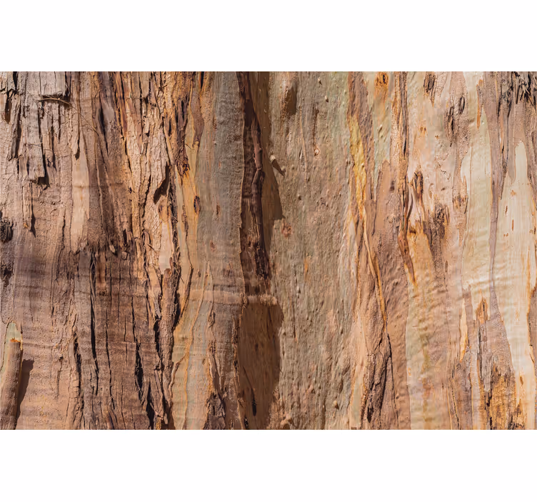 Rustic wallpaper brown tree bark texture - TenStickers
