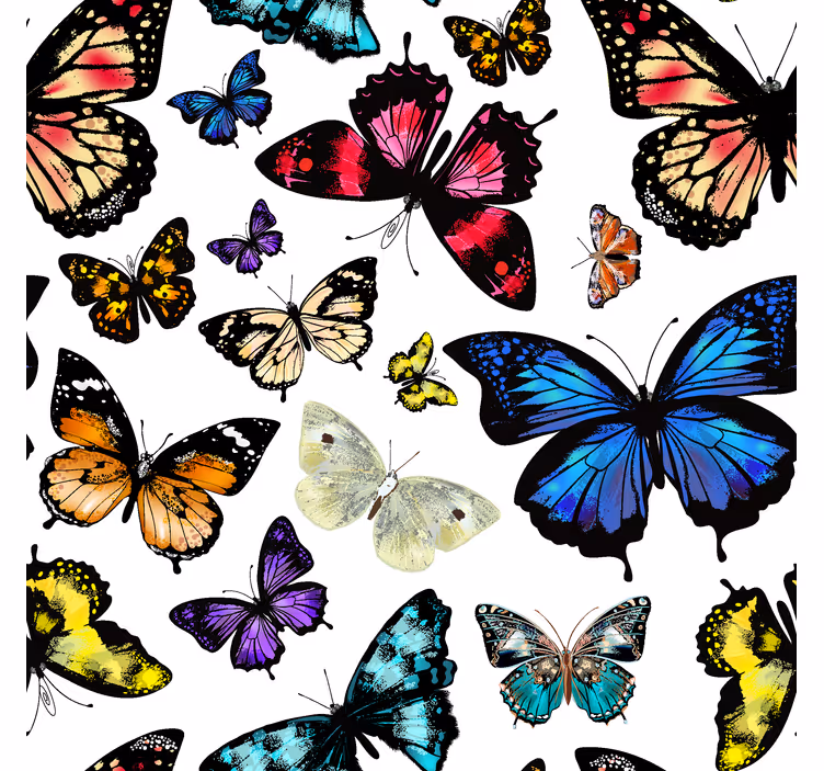 Beautiful and colorful butterflies wallpaper - TenStickers