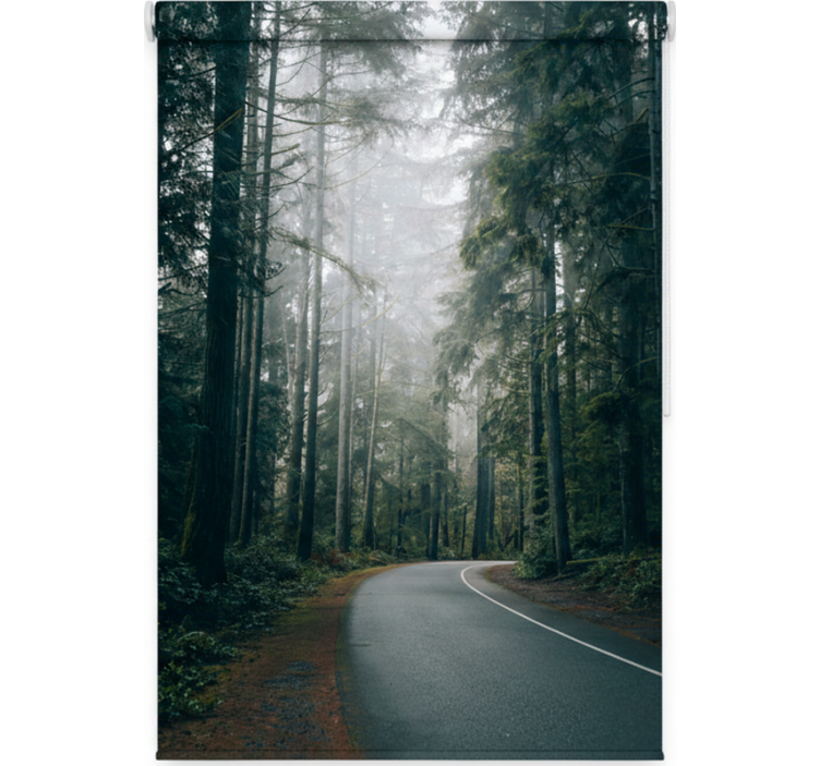 Tree roller blind foggy pine road - TenStickers