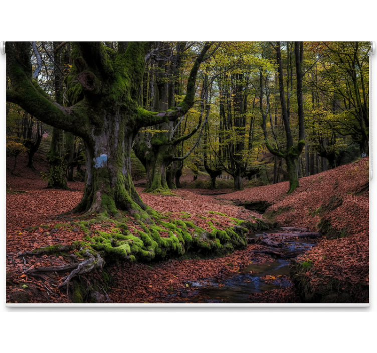 Enchanted autumn forest tree roller blind - TenStickers