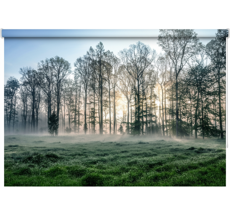Tree roller blind misty morning meadow - TenStickers