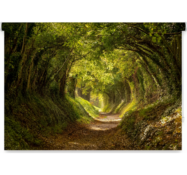 Tree roller blind immersive forest mural - TenStickers