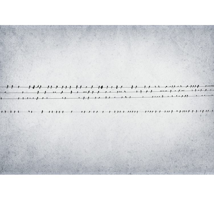 White roller blind birdsong on a wire - TenStickers