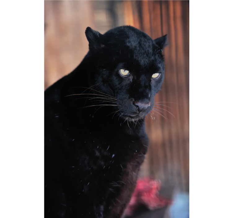 Living room roller blind leopard stalking design - TenStickers