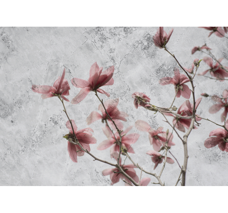 Living room roller blind elegant glamour magnolia design - TenStickers