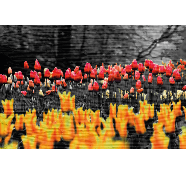 Living room roller blind flower field design - TenStickers