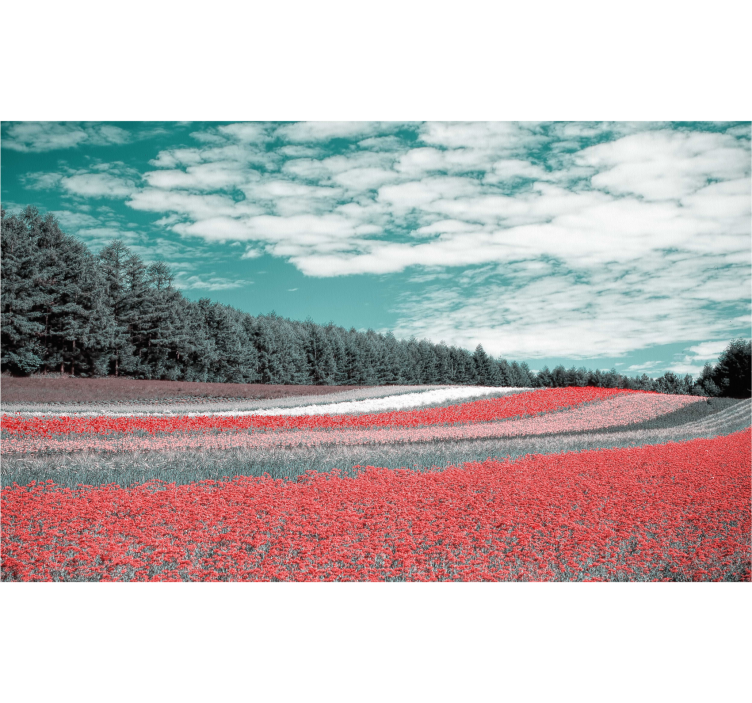 Living room roller blind wildflower meadow - TenStickers