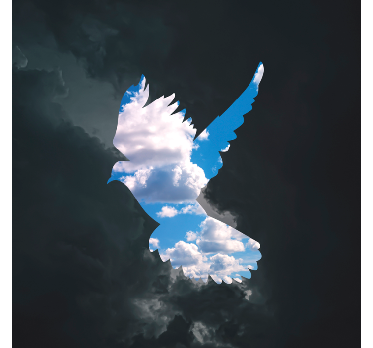 Living room roller blind magritte dove - TenStickers