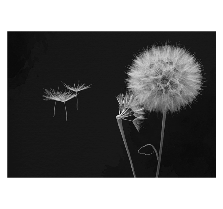 Gray roller blind dandelion head wall mural - TenStickers