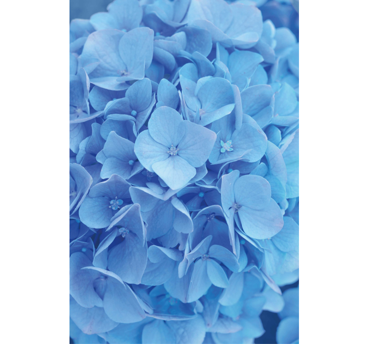 Hydrangea flower roller blind - TenStickers