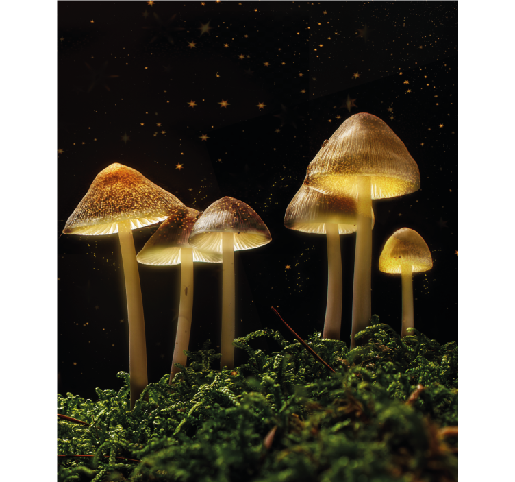 Wild mushrooms glow Other blind - TenStickers
