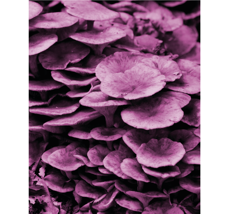 Vibrant Floral Layers flowers and plants roller blind - TenStickers