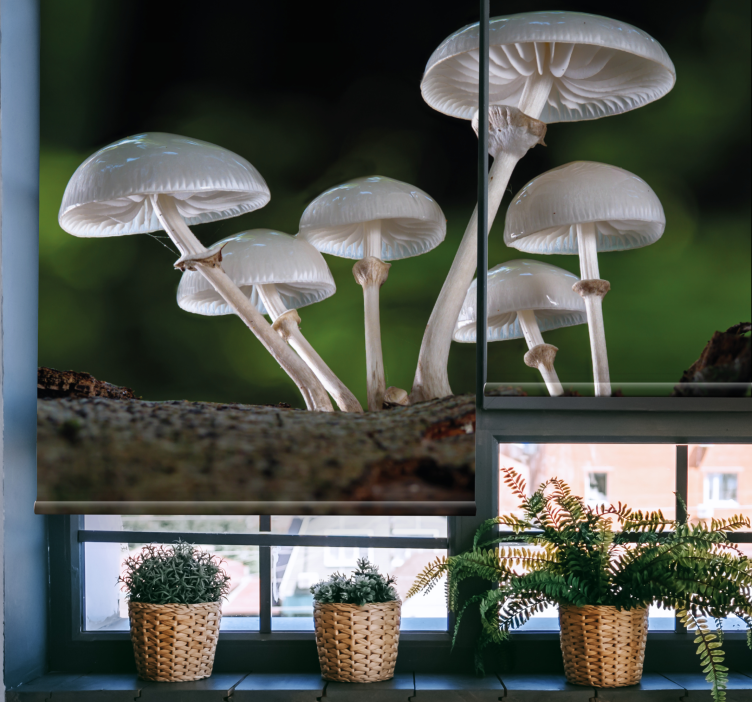 Mushroom Cluster flowers and plants roller blind - TenStickers