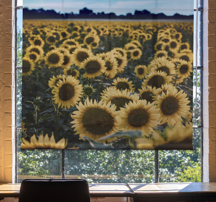 Sun flower field Flower blind - TenStickers