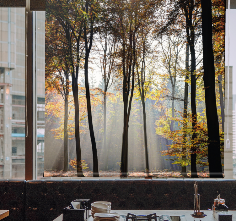 Sunlit forest scene tree roller blind - TenStickers