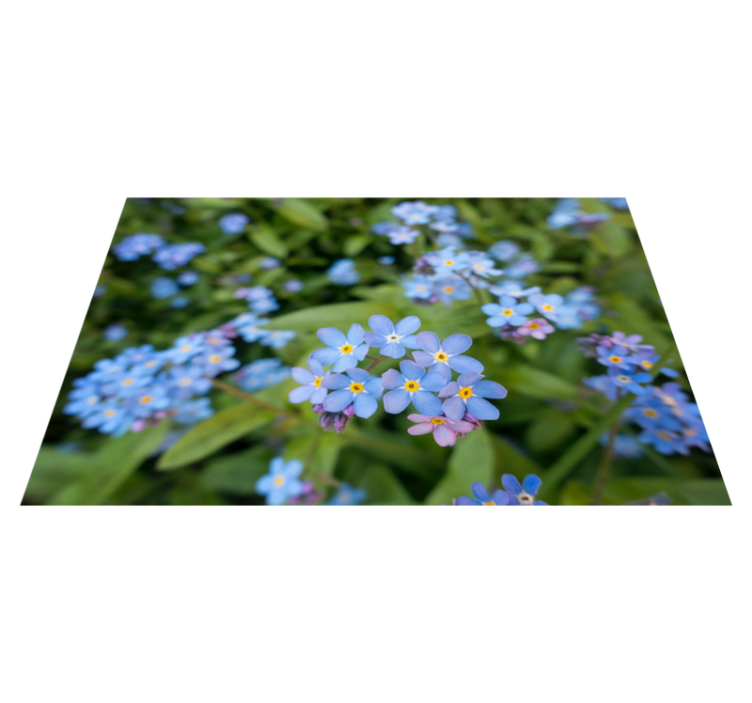 Cute little blue flowers floral placemats - TenStickers