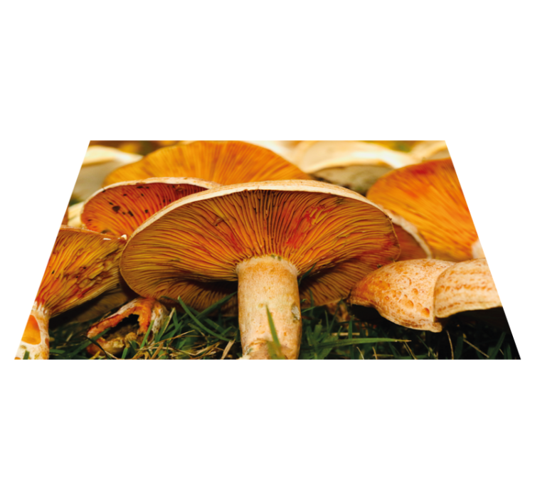 Original placemats mushrooms and ramen delight - TenStickers