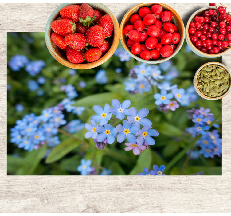 Cute little blue flowers floral placemats - TenStickers