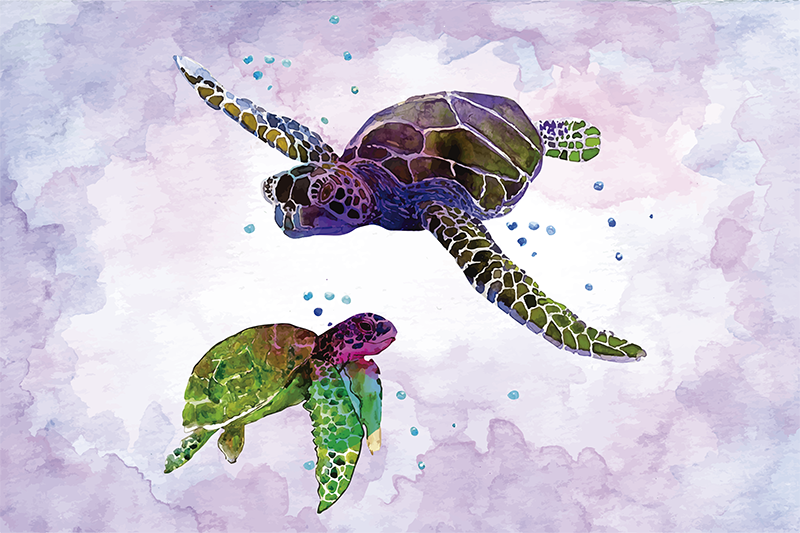 Original placemats colorful turtle design - TenStickers