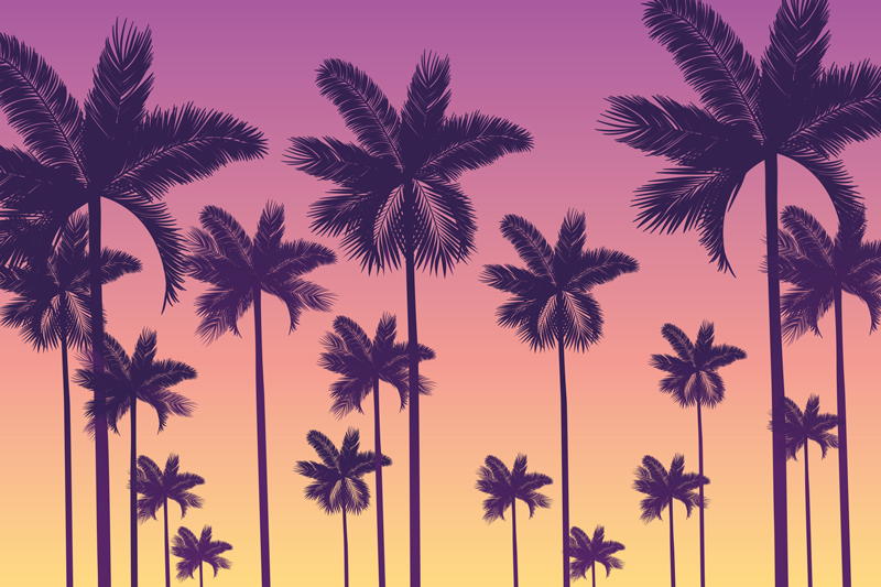 Original placemats palm tree sunset - TenStickers
