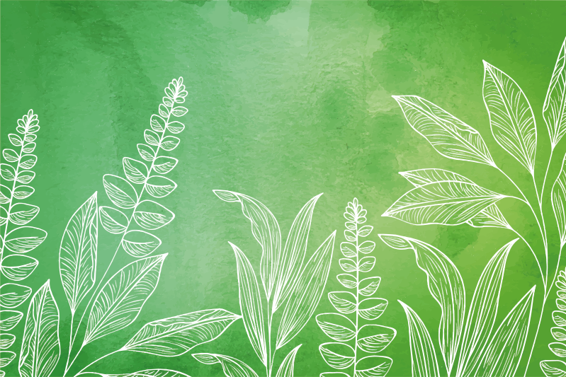 Original green colour with leafes placemats - TenStickers