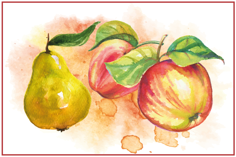 Original placemats fruits watercolor art - TenStickers