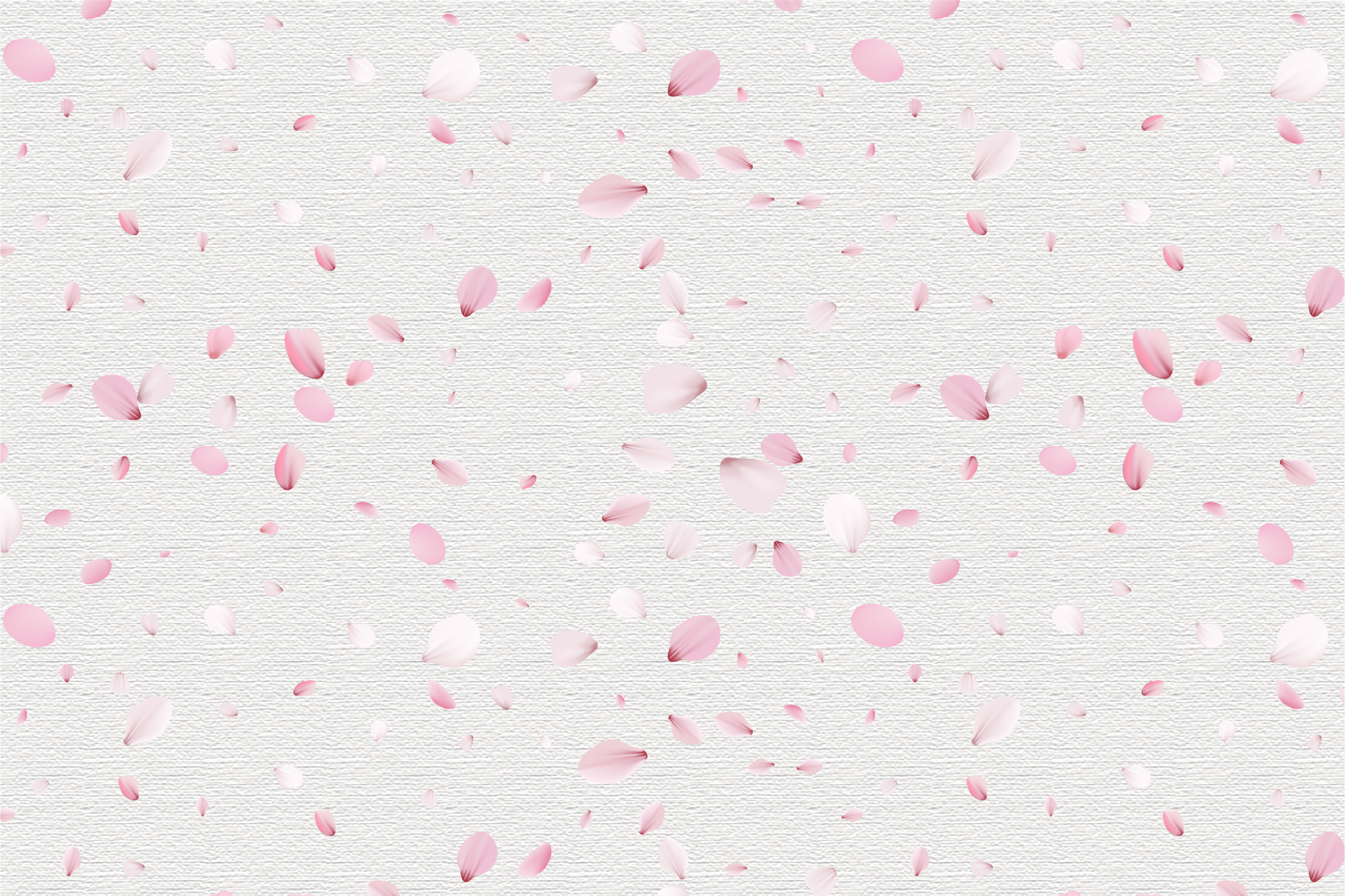 Cherry blossom petals elegant placemats - TenStickers