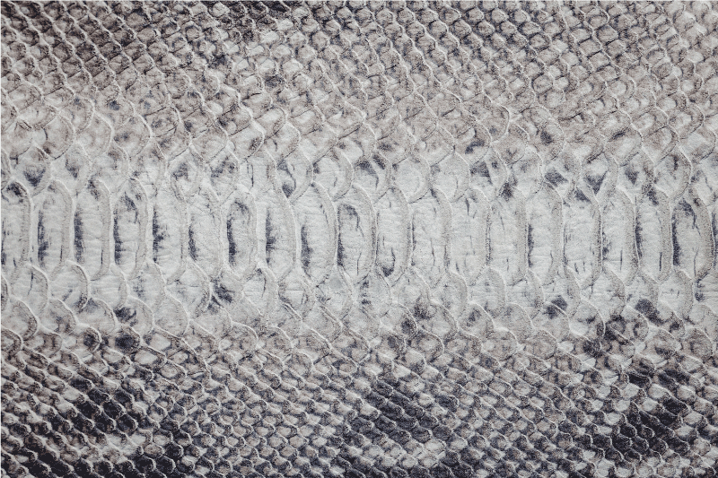 Textured placemats with snake skin design - TenStickers