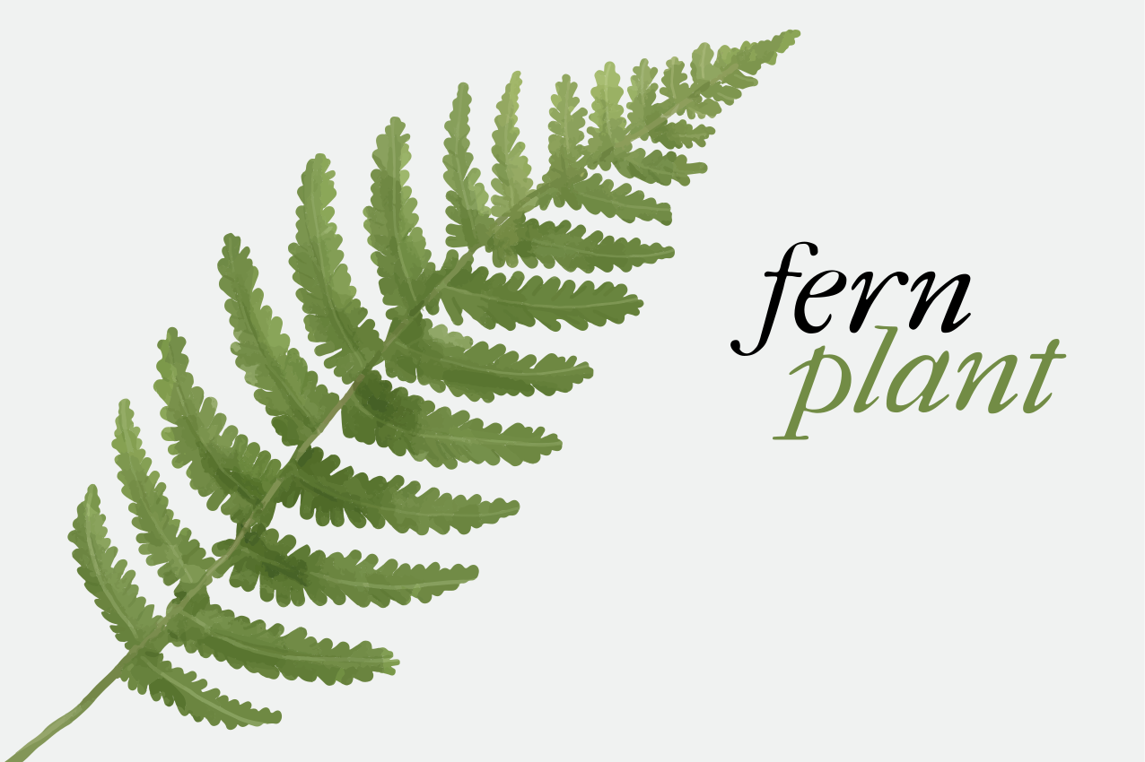 Fern plant minimalist quote placemats - TenStickers