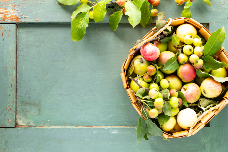 Home placemats fruit basket design - TenStickers