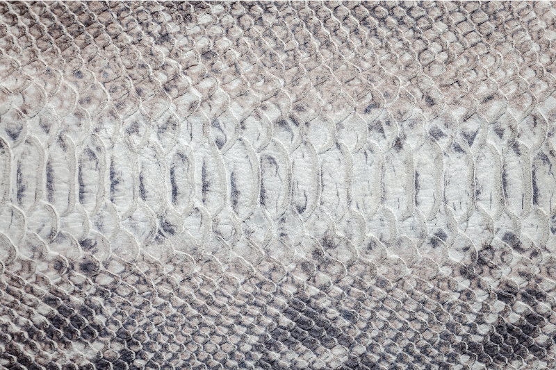 Textured placemats with serpent skin design - TenStickers