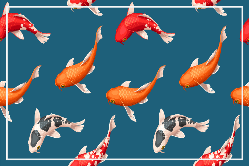 Original placemats colorful koi fish design - TenStickers