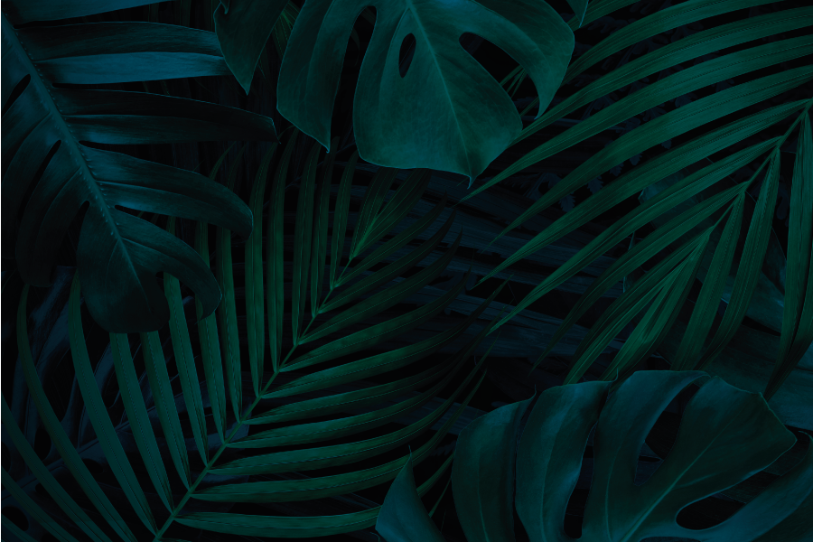 Textured placemats tropical leaf design - TenStickers