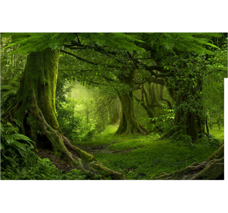 Forest wall mural lush woodland escape - TenStickers