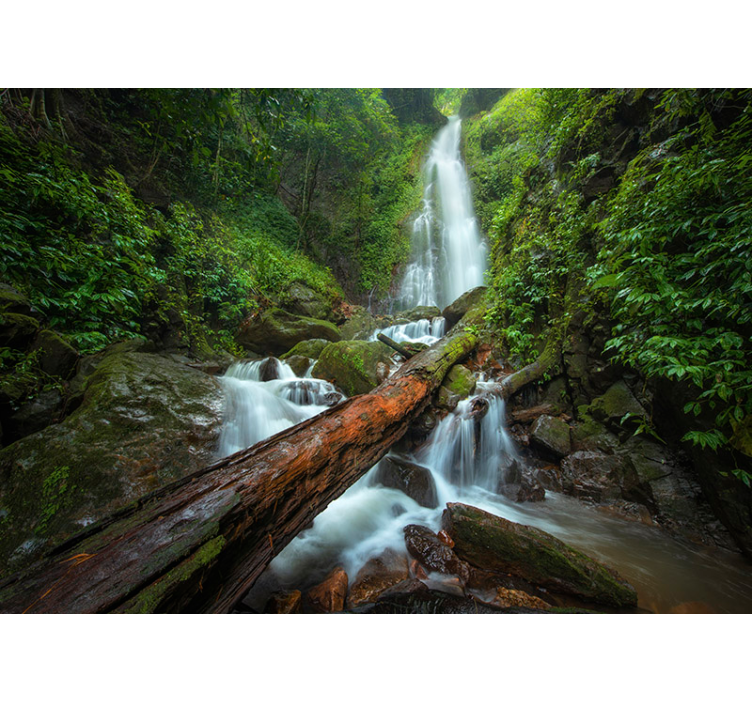 Waterfall Forest Wall Mural - TenStickers