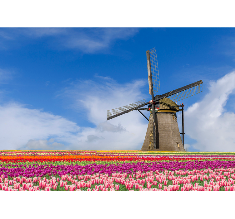Tulip field and windmill wall mural - TenStickers