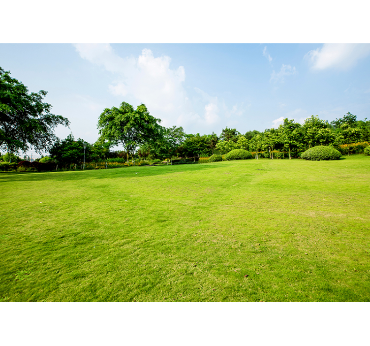 Green Meadow nature wall mural - TenStickers