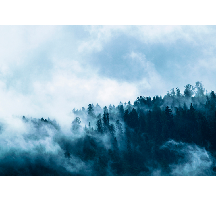 Misty Forest Scene mural for living room - TenStickers