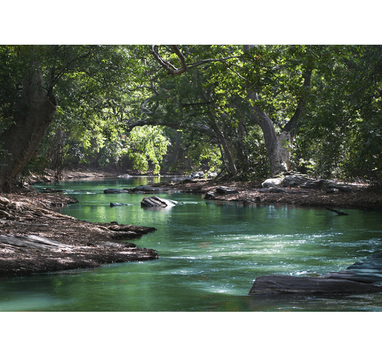 Nature wall mural serene river landscape - TenStickers