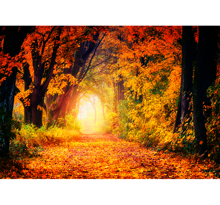 Autumn Forest Path landscape mural wallpaper - TenStickers