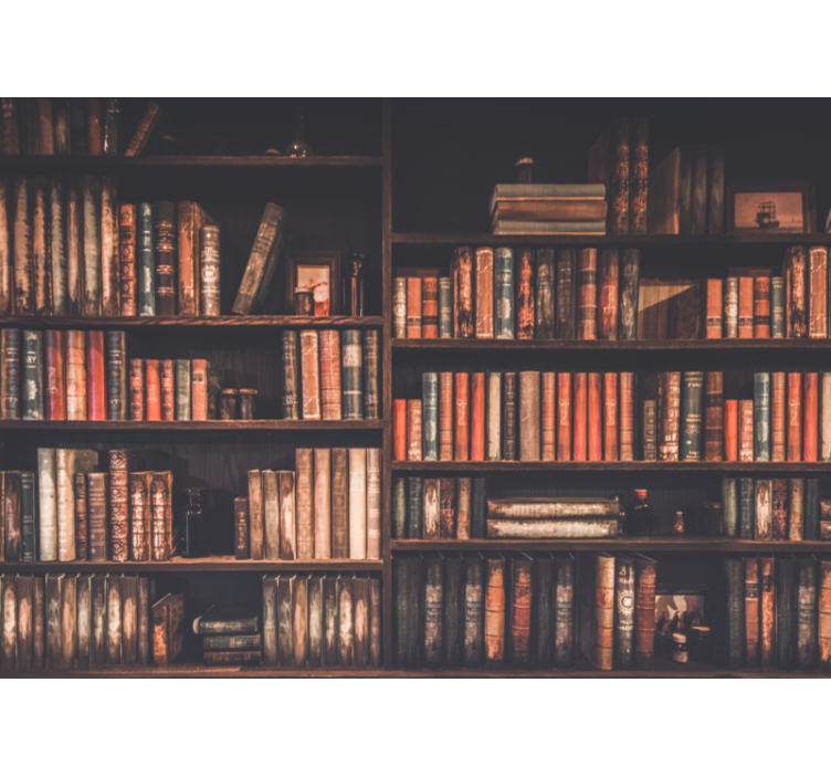 Vintage BookShelf wall mural - TenStickers